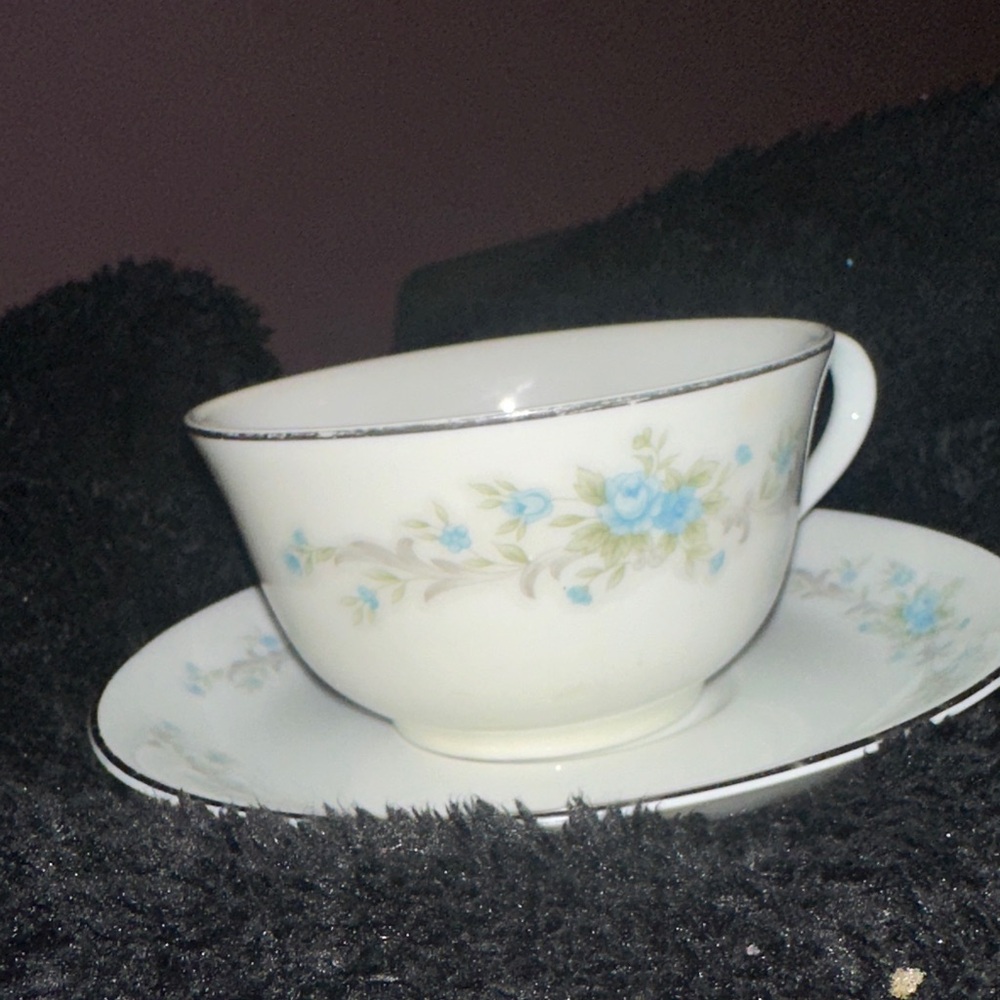 Vintage Floral Blue and White Teacup and Saucer Set Fine China